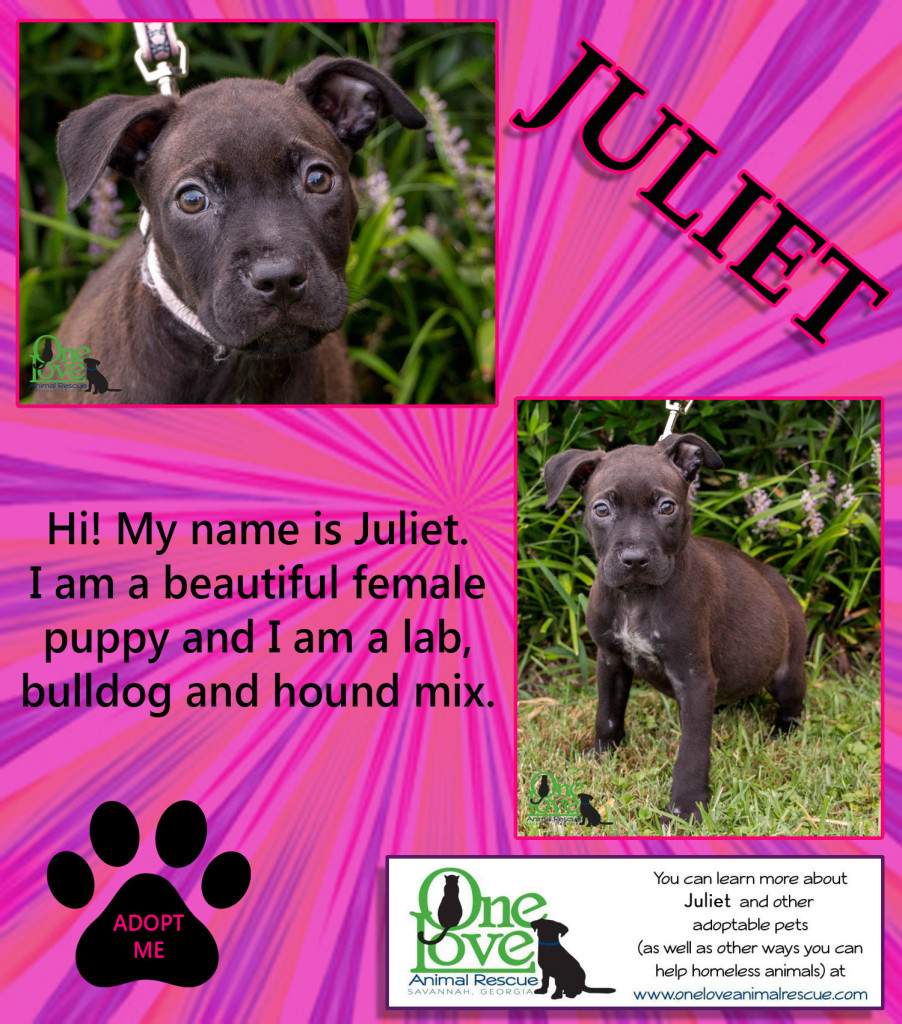 juliet