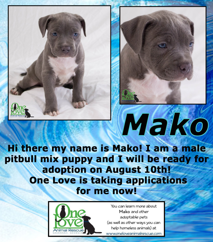 mako