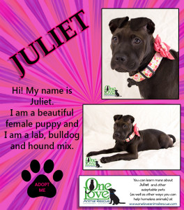 juliet-updated