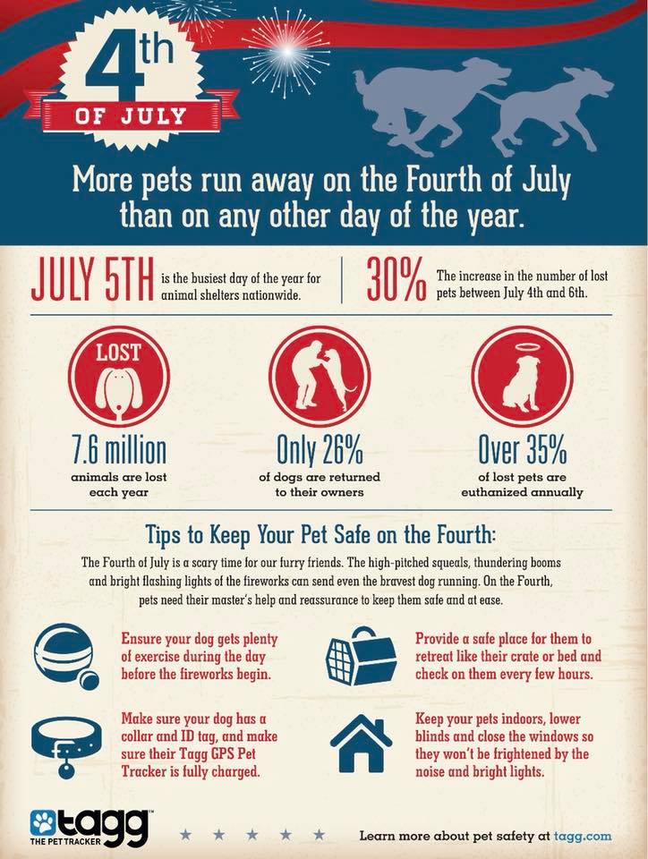 Pet safety tips for fireworks and the fourth of July
