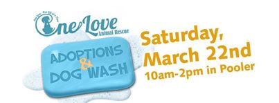 One Love  Adoption Event and Dog Wash Fundraiser at Tailspin in Pooler