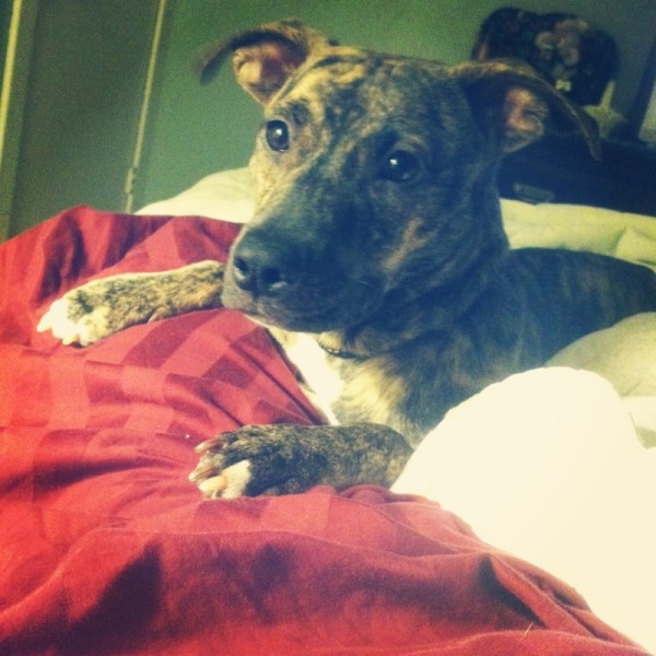Molly