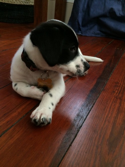 Charlie