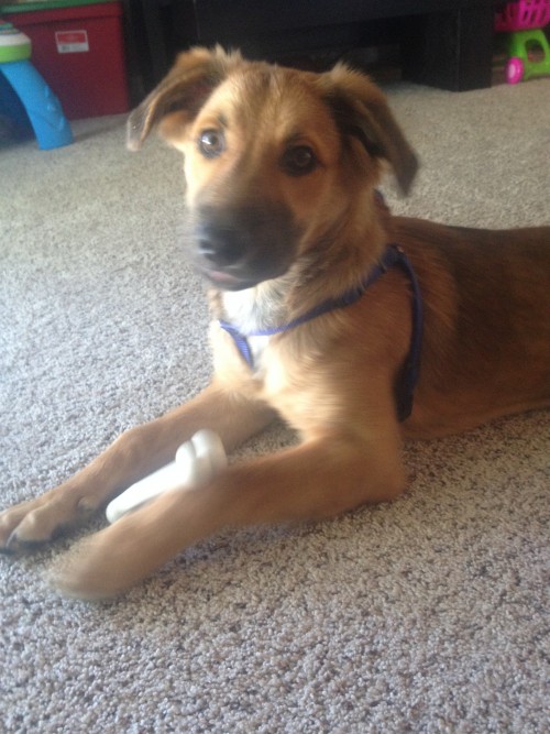 Milo