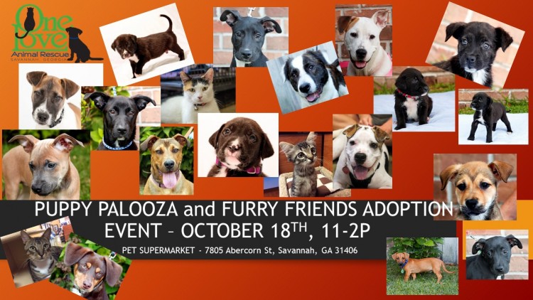 Puppy Palooza October 18th, 11-2pm