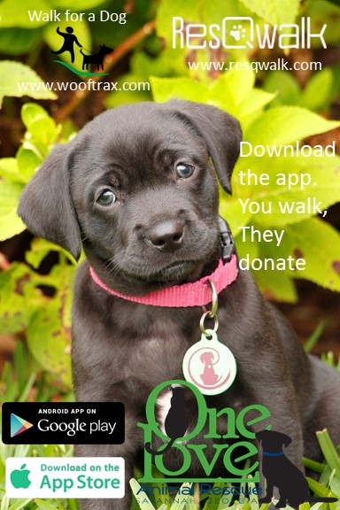 Download an App or Two and Walk for One Love