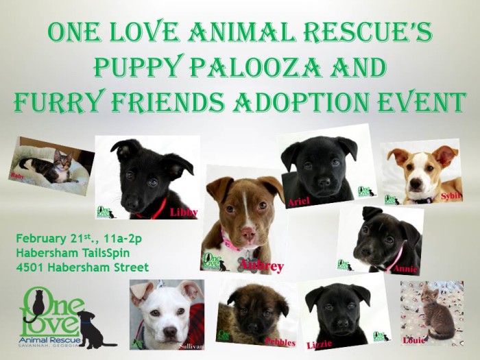 February Puppy Palooza and Furry Friends Adoption Event This Saturday!
