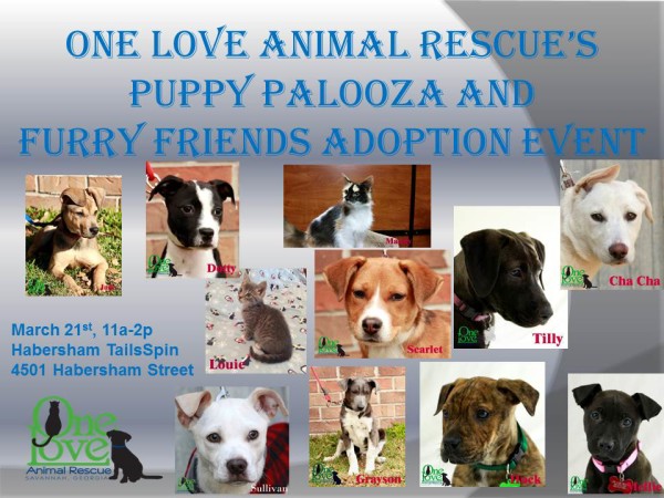 Puppy Palooza and Furry Friends Adoption Event