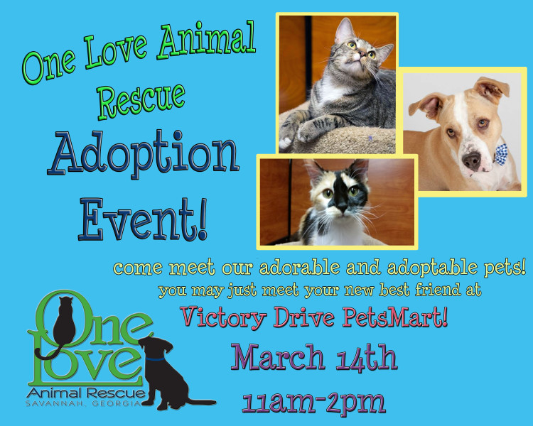 Adoption Event – March 14th – Victory Drive Petsmart