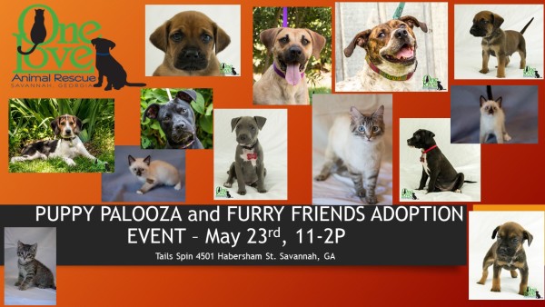Puppy Palooza – This Saturday May 23rd 11-2pm