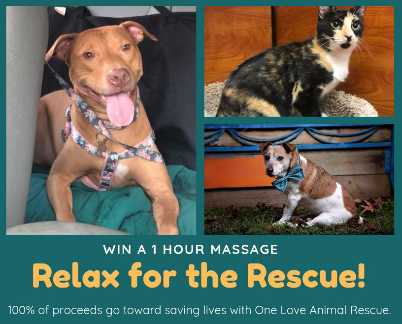 Relax for Rescue! Win a massage from One Love Animal Rescue