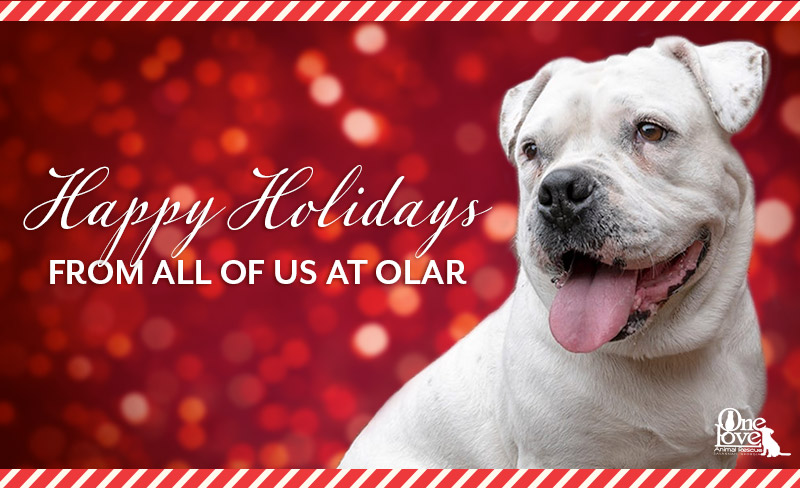 Happy holidays from all of us at One Love Animal Rescue