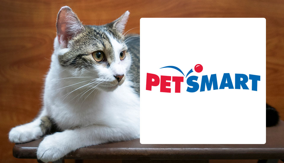 Petsmart Pet Adoptions with One Love Animal Rescue, Savannah GA